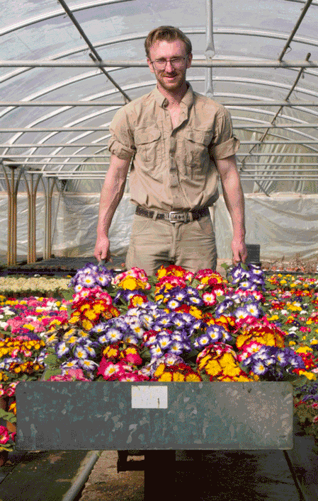 Bronte Peat Free Compost